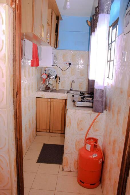 Cozy Homes 1 Bedroom House With Wi-Fi King Size Bed. Free Parking Найваша Екстер'єр фото